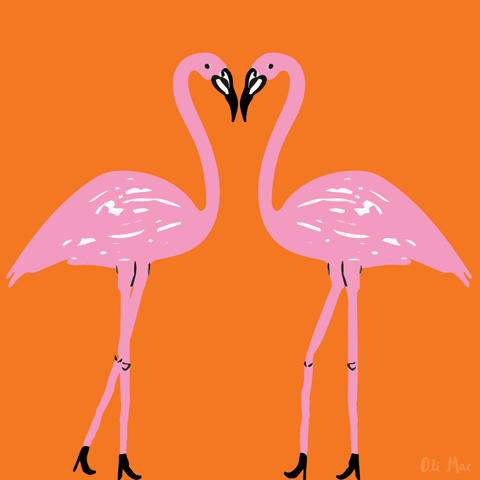 Фламинго танцует. Фламинго мультяшный. Фламинго гиф. Гиф Фламинго танцует.