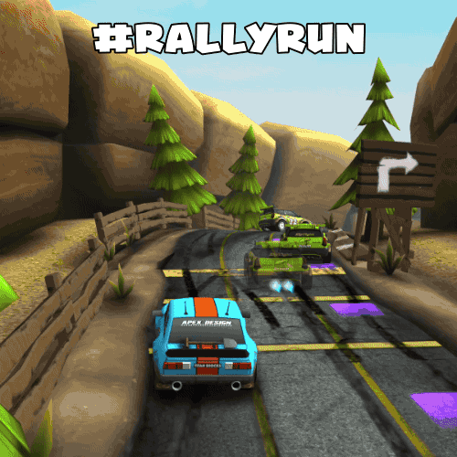 racing,rally,rallyrun