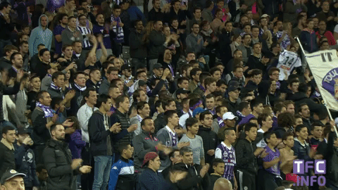 sports,soccer,fans,clapping,applause,clap,arena,ligue 1,stand,stadium,tfc,toulouse fc,supporters