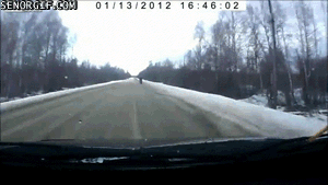 fail,nature,cars,accident,yikes,first person,hitchhikers