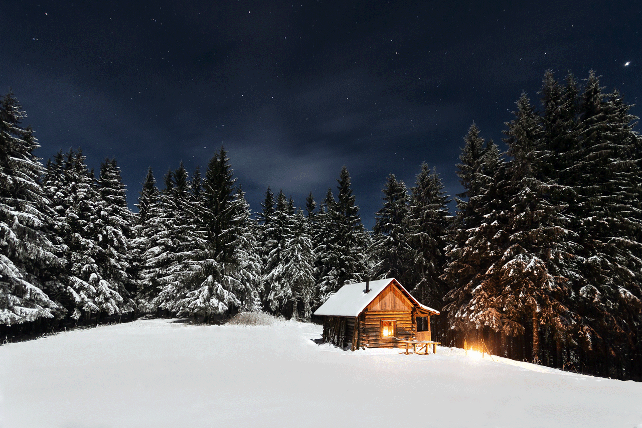 cinemagraph,cabin,woods