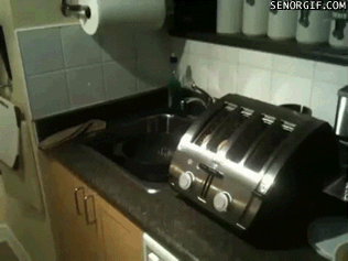 fail,kind,toaster