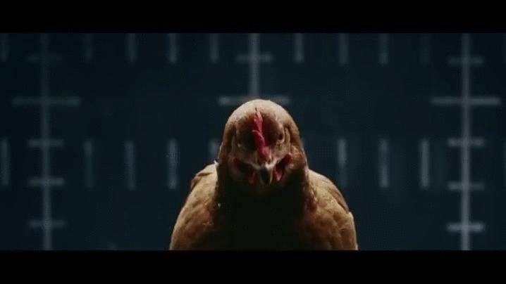 Head power chicken GIF.