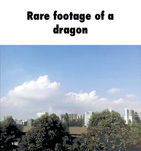 dragon,footage,rare