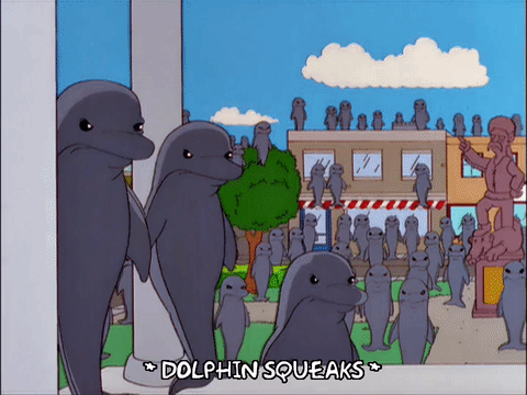 episode 1,angry,season 12,dolphins,gathering,12x01,joko