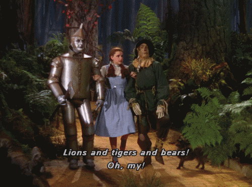wizard of oz,bears,lions,tigers,oh my