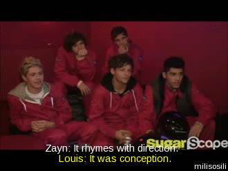 funny,one direction,interview,harry styles,zayn malik,louis tomlinson,liam payne,1d,niall horan,mario cart,dog cupcake,tell it to maury