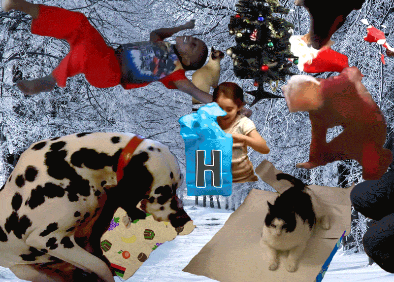 kwanzaa,merry christmas,hanukkah,cat,dog,christmas,animal,child,children,presents,happy holidays,hyperallergic,gift
