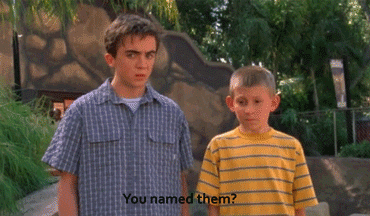malcolm in the middle,dewey,tv,television,90s,1990s,childhood,zoo,2000s,tigers,malcom