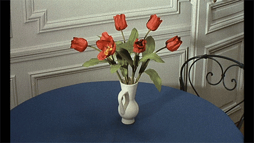 blooming,francois truffaut,film,vintage,flowers,idk if anyones made this one yet,ronnychieng,bich