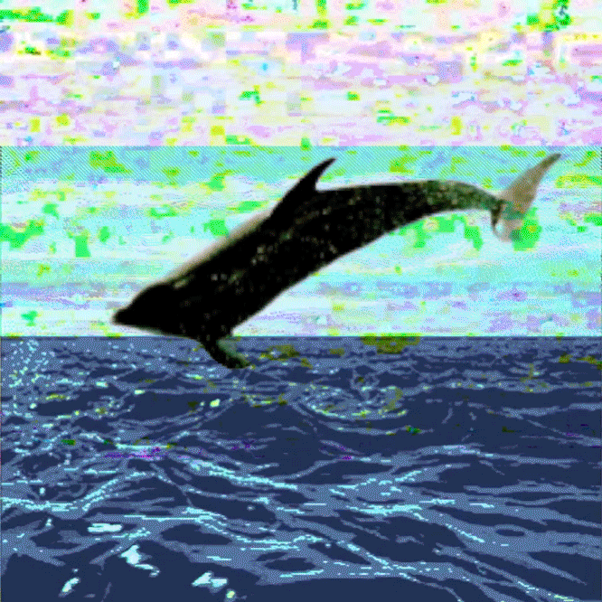 dolphin,glitch,sea,earth,glitch art,digital art,nicolas ulloa,post internet