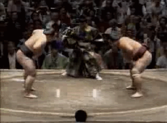 sumo,electric,wrestling