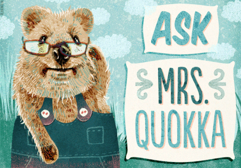 quokka,animation,animals,illustration,australia,buzzfeed,questions,rebecca hendin,what is your damage,did you have a brain tumor for breakfast,girl scout,ted the movie