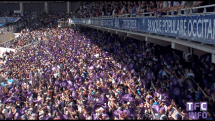sports,soccer,people,fans,arena,ligue 1,stand,tfc,flags,toulouse fc,supporters