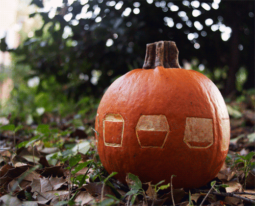 halloween,fall,pumpkin,traceloops