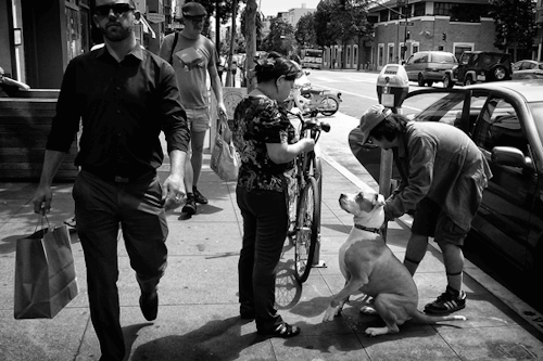 street photography,wiggle,wigglgram,black and white,3d,dogs,lumix,3d city,3d1