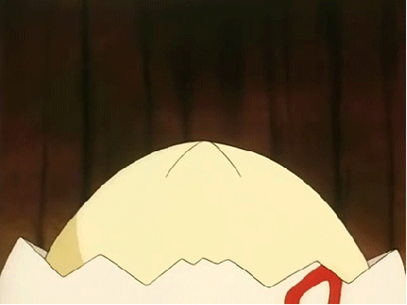 pokemon,egg,hatching