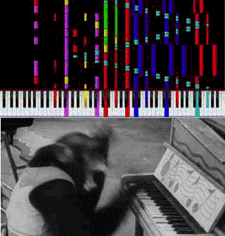 piano,monkey,forthelulz