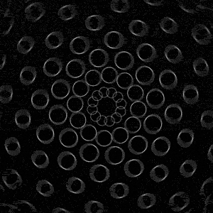 noise,spirograph,motion addicts,circle,sequence,black and white,black,motion,white,mograph,circles,animate,heart head,im online,ur on my mind as much as im online