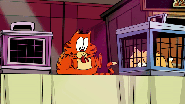 cat,reaction,happy,cartoon,what,omg,caught,atomicpuppet,atomic puppet