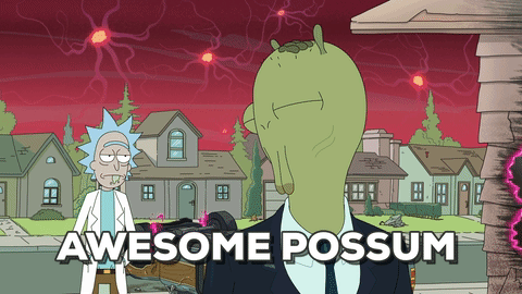 rick and morty,awesome possum
