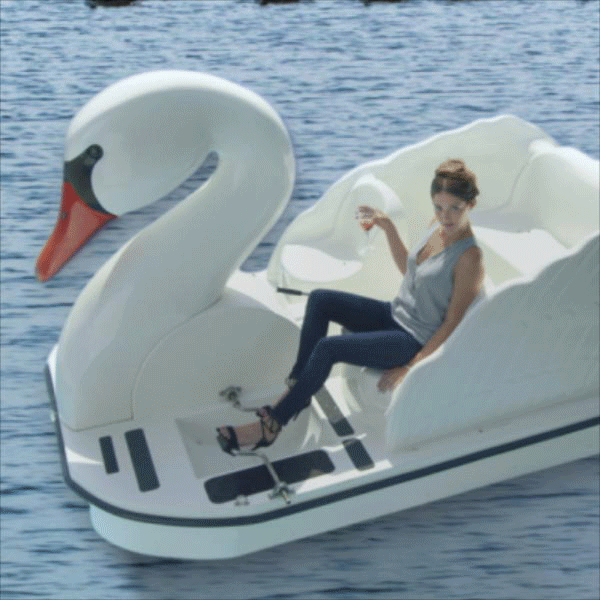 lake,excited,wine,swan,swan boat,no worries,party,help,thumbs up,paddle,no problems,move your lee,lee woman,glass of wine