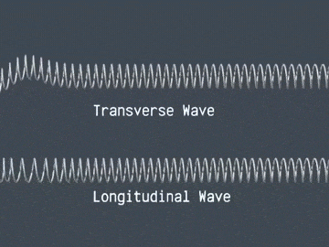 longitudinal,transverse,educational,waves