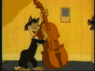 hep cat,music,cat,guitar,bass