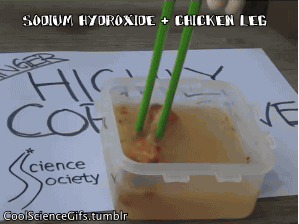 gore,trigger warning,food,science,things,acid,chicken,chemistry,chemical reaction,science s,acid things,nasty food,chicken leg,transparency blog,work for it