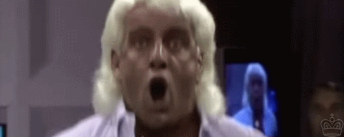 Ric Flair Sexual Harassment