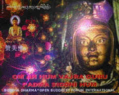 buddha,free,online,university,research,practice,awareness,lincoln rice,fart noise,pew pew,eleventh day of oscar
