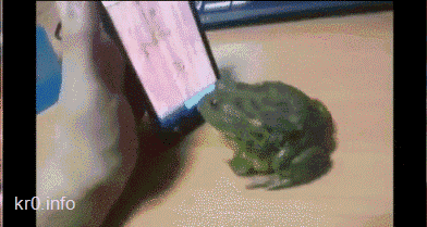 iphone,frog,learns