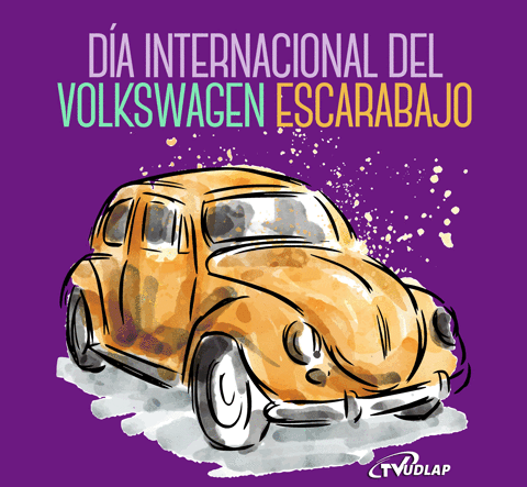 vocho,volkswagen,escarabajo,dia internacional
