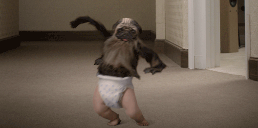 Смешная танцующая гифка. Танцующая обезьянка gif. Обезьяна танцует гифка. Гифка обезьянка танцует. Гифка обезьяна пляшет.