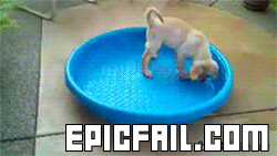 fail,pictures,pool,epic,videos,source,stories,com,pool fail,kiddie