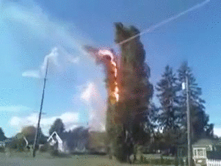 explode,fire,power,tree,line,catches,voltage