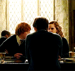 harry potter,harry,hermione,ron,hbp,lavender