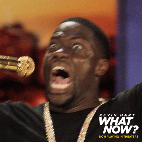 Kevin hart kevin hart what now GIF.