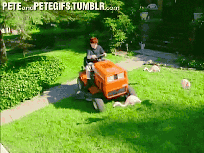 flamingo,lawn mower,season 2,90s,the adventures of pete and pete,nickelodeon,pete and pete,pete pete,the adventures of pete pete,pete wrigley,little pete,danny tamberelli,grounded for life