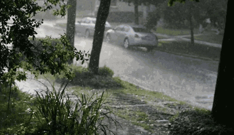 Animated GIF: rain.