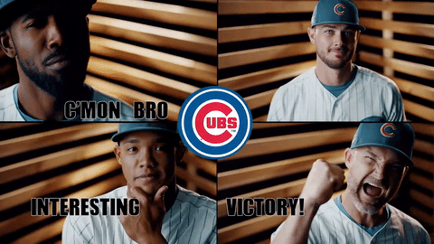 major league baseball,sports,lol,baseball,mlb,chicago,cubs,chicago cubs,cubbies