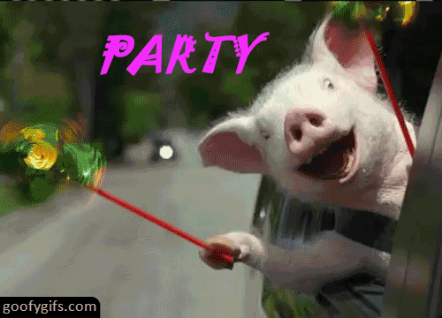 party hard,piggy,party,funny picture