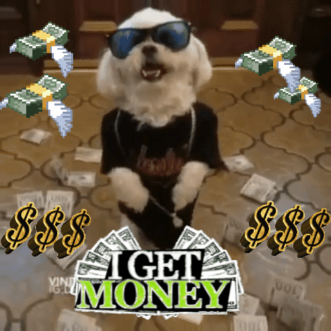 dog,money,shades,anthropomorphic,walking dog,i get money