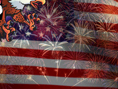 patriotic,fourth of july,eagle,summer,america,bomb pop