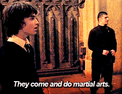 viktor krum,movies,behind the scenes,daniel radcliffe,harry potter the goblet of fire,stanislav ianevski,they come and do martial arts