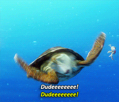 tortoise,sea turtle,movie,film,disney,ocean,turtle,dude,2003,findinf nemo