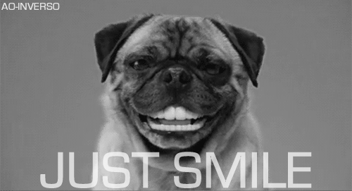 smiling,dog,smile,funny,animals,nodding,hahahha