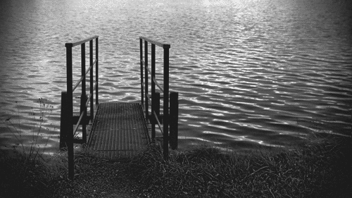 cinemagraph,black and white,loop,water,infinite,strasbourg