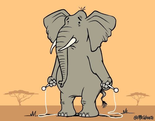 elephant,animal,jump rope