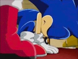 sonic the hedgehog,sonic x,sonic,swan goals,just dont ever expect anything from humans,kissing in cars